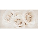 Декор CAMELIA inserto flower 297*600*9