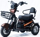 Трицикл акумул.S1-WS600, Коричневий 145201
