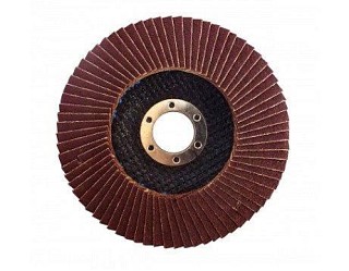 Диск пелюстковий плоский д125 (36)T27 WERK107071