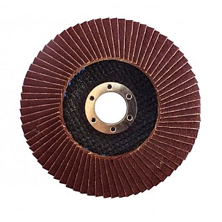 Диск пелюстковий плоский д125 (80)T27 WERK107074