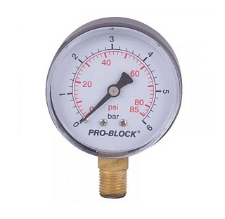 Манометр радіальний 1/4" 6 bar Pedrollo