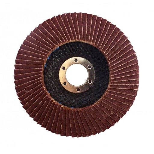 Диск пелюстковий конічний д125 (120)T29 WERK107103